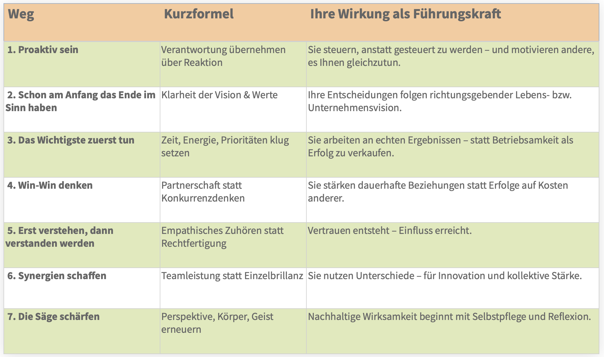Irene Wüest - 7 wege zur effektivität buch 4