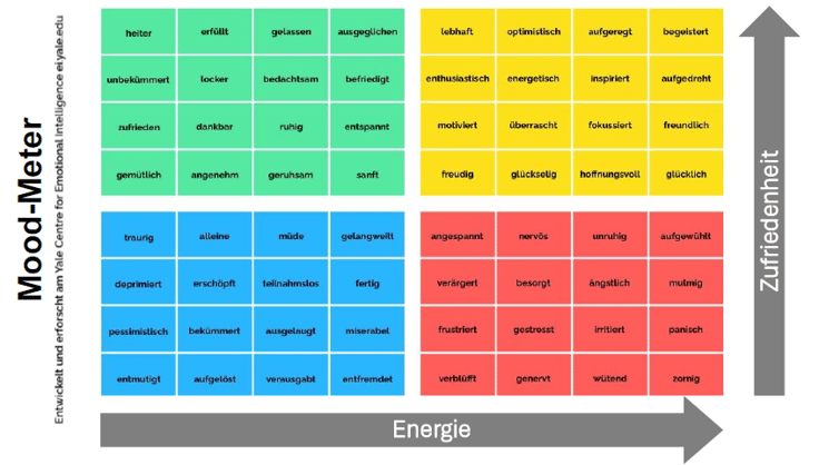 Irene Wüest - Emotionale Intelligenz Mood-Meter